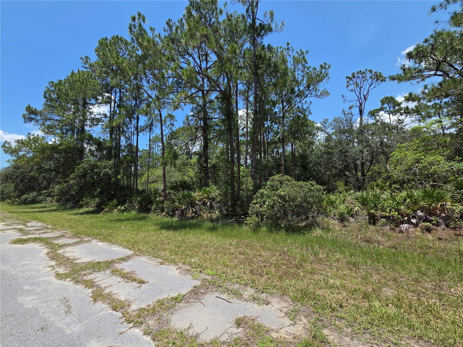 0 ALLAMANDA DR, INDIAN LAKE ESTATES, FL — photo 3
