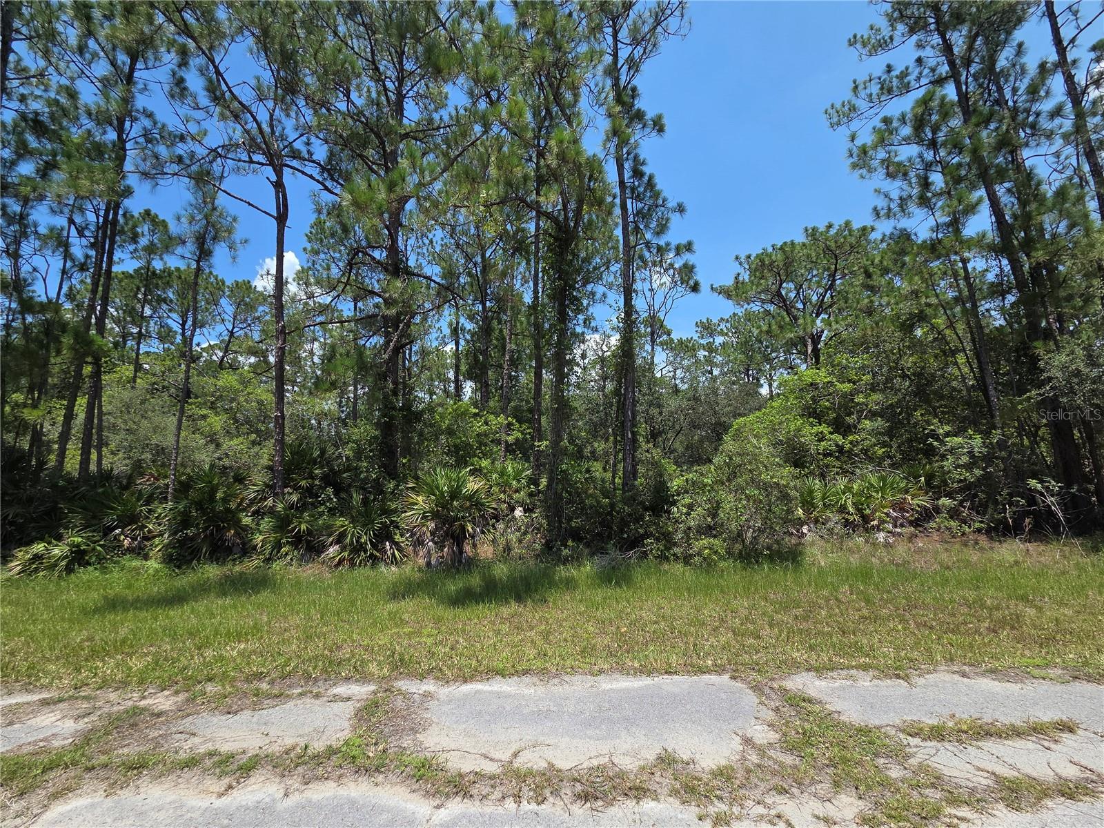 0 ALLAMANDA DR, INDIAN LAKE ESTATES, FL — photo 4