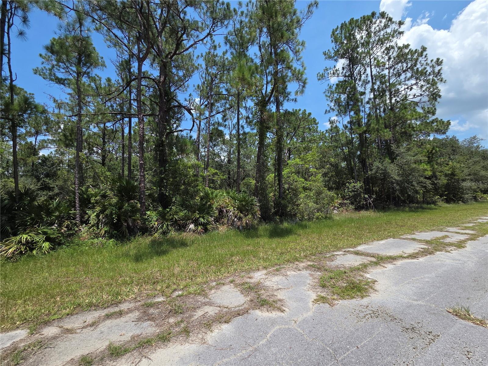0 ALLAMANDA DR, INDIAN LAKE ESTATES, FL — photo 5