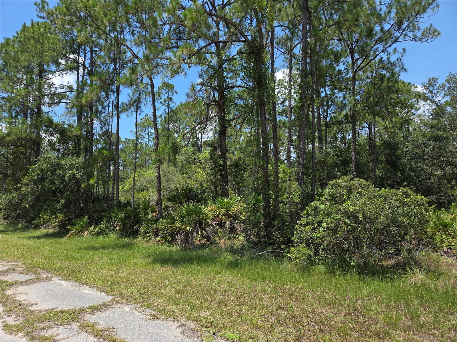0 ALLAMANDA DR, INDIAN LAKE ESTATES, FL — photo 6