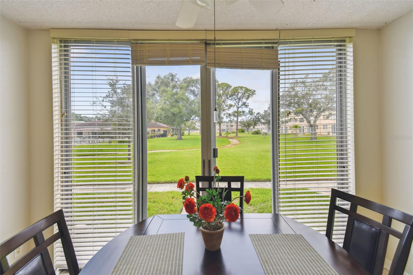 5095 BAY ST NE #103, ST PETERSBURG, FL — photo 21