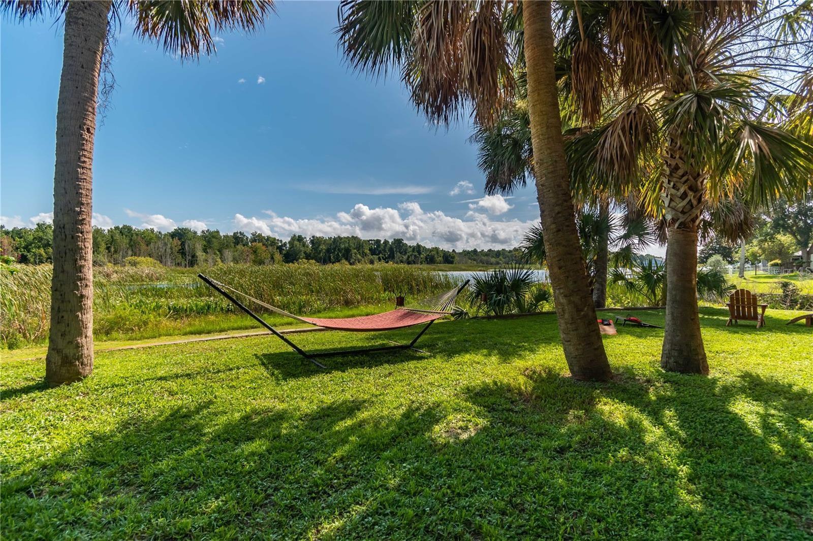 3 SE OCALE WAY, SUMMERFIELD, FL — photo 53