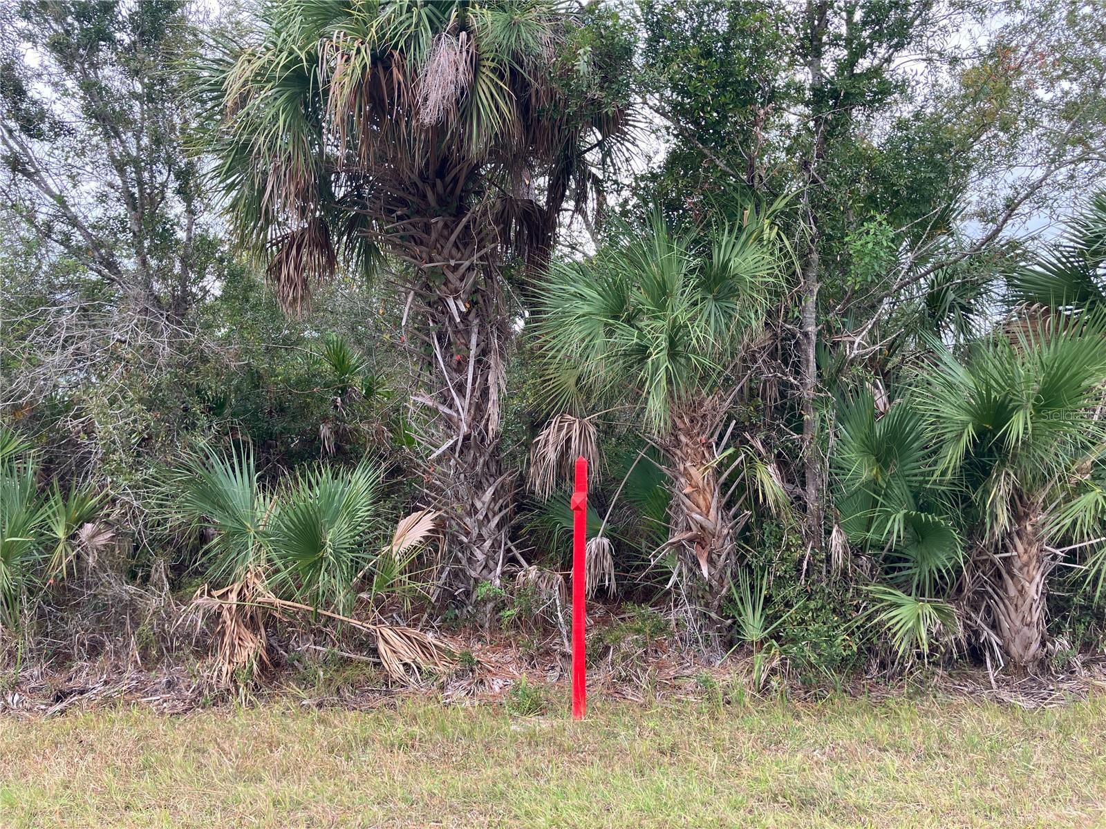 4363 SCHNEIDER ST, PORT CHARLOTTE, FL