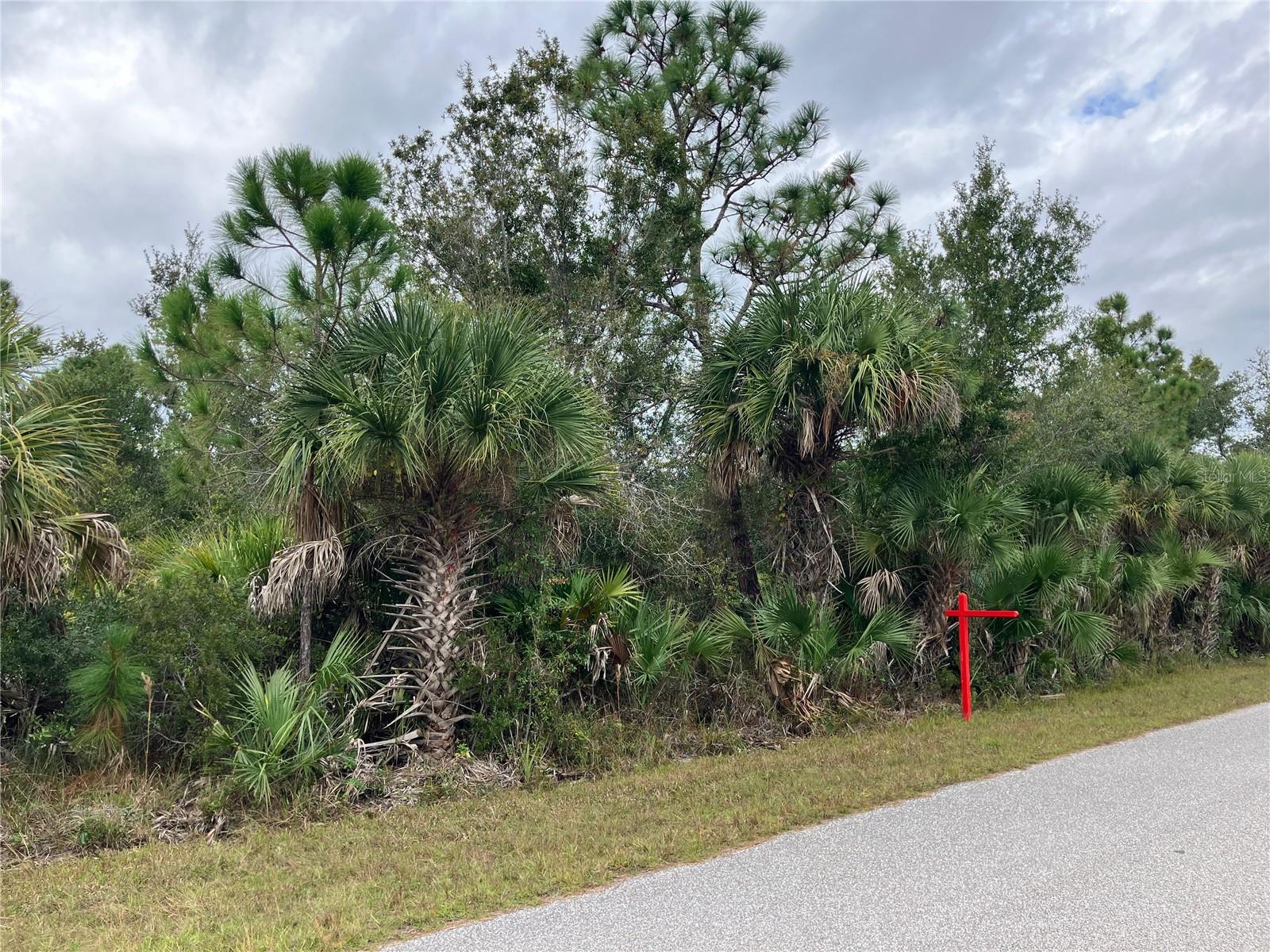 4363 SCHNEIDER ST, PORT CHARLOTTE, FL — photo 3