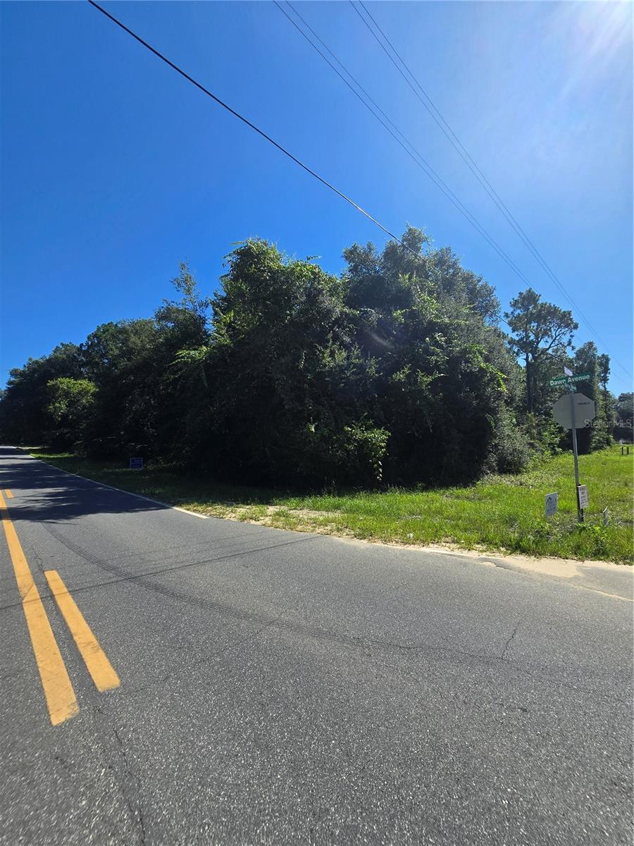 600 DAWN AVE, INTERLACHEN, FL — photo 2
