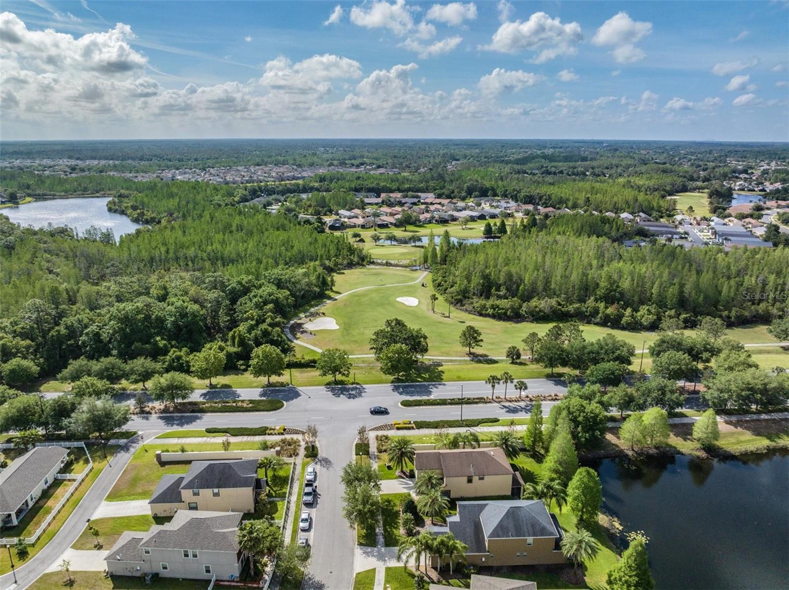 8600 SAVORY WALK DR, LAND O LAKES, FL — photo 61