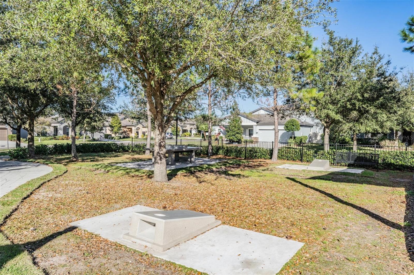 8600 SAVORY WALK DR, LAND O LAKES, FL — photo 68