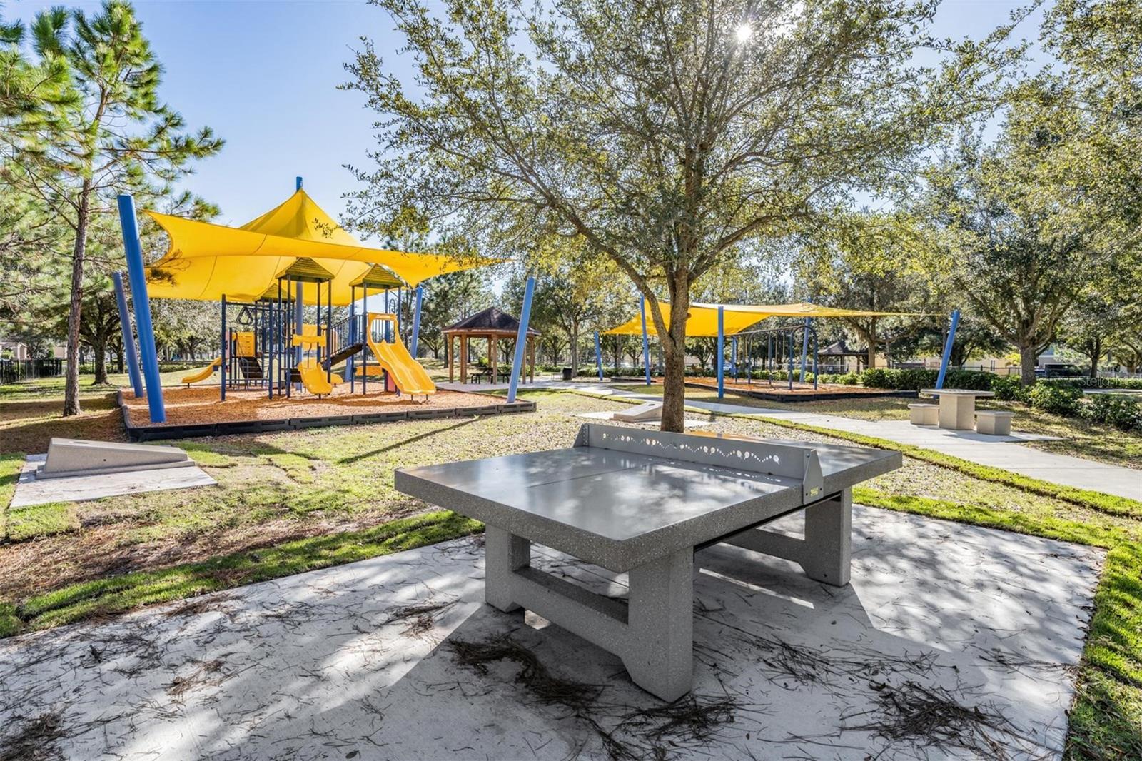 8600 SAVORY WALK DR, LAND O LAKES, FL — photo 71