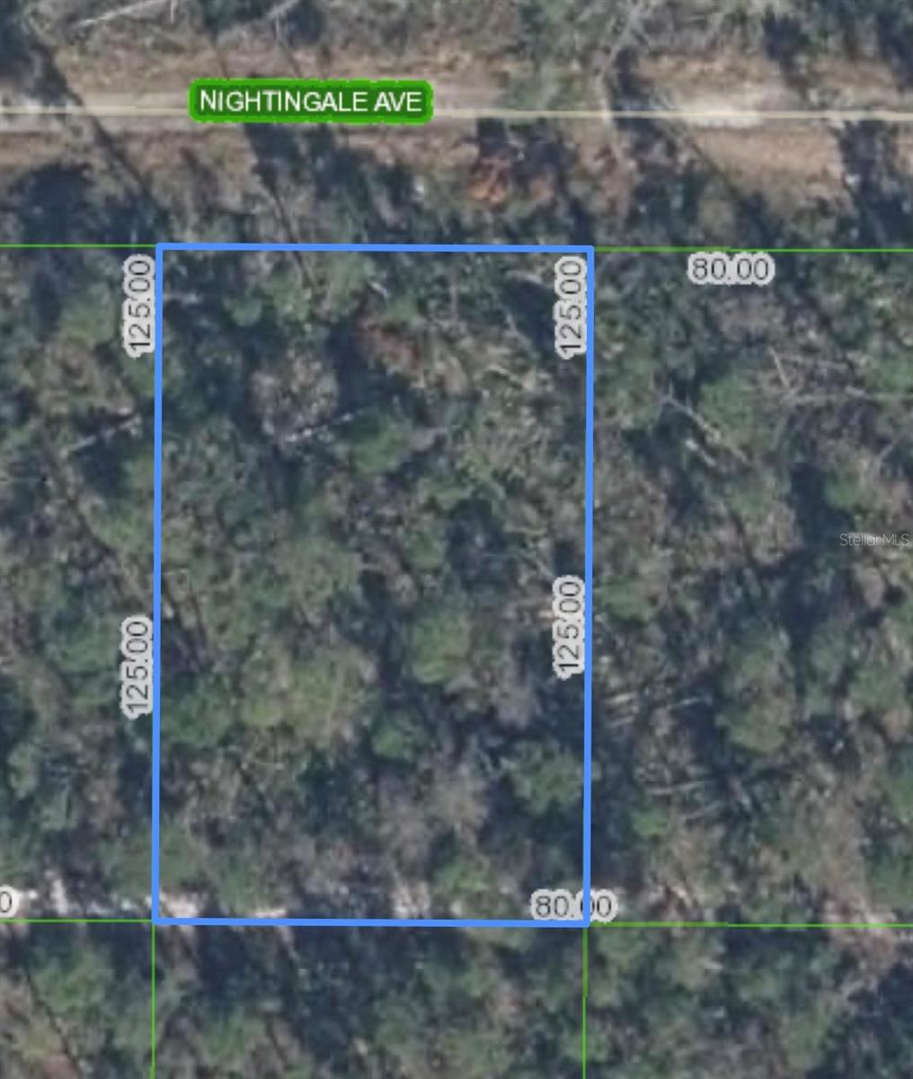 455 NIGHTINGALE AVE, SEBRING, FL