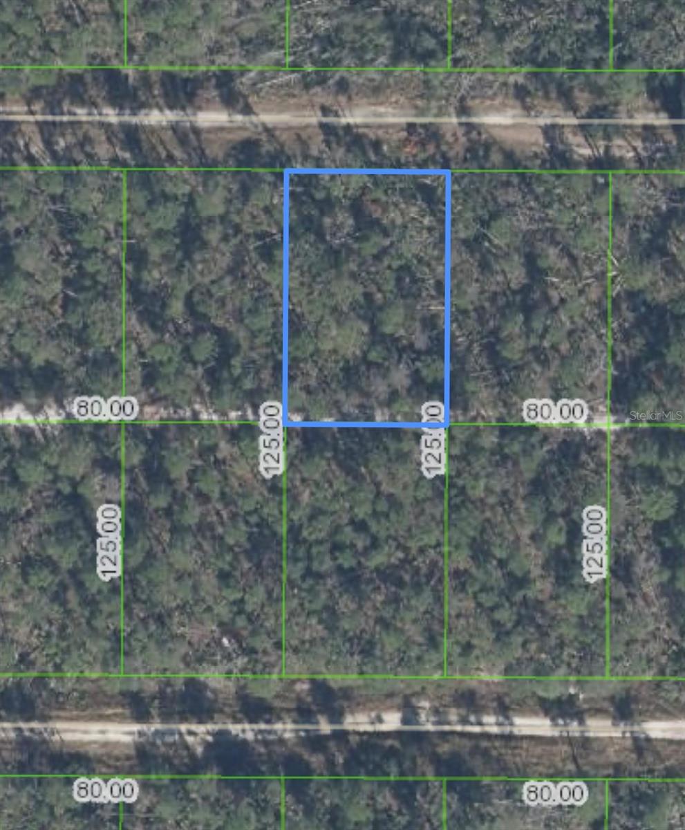 455 NIGHTINGALE AVE, SEBRING, FL — photo 2