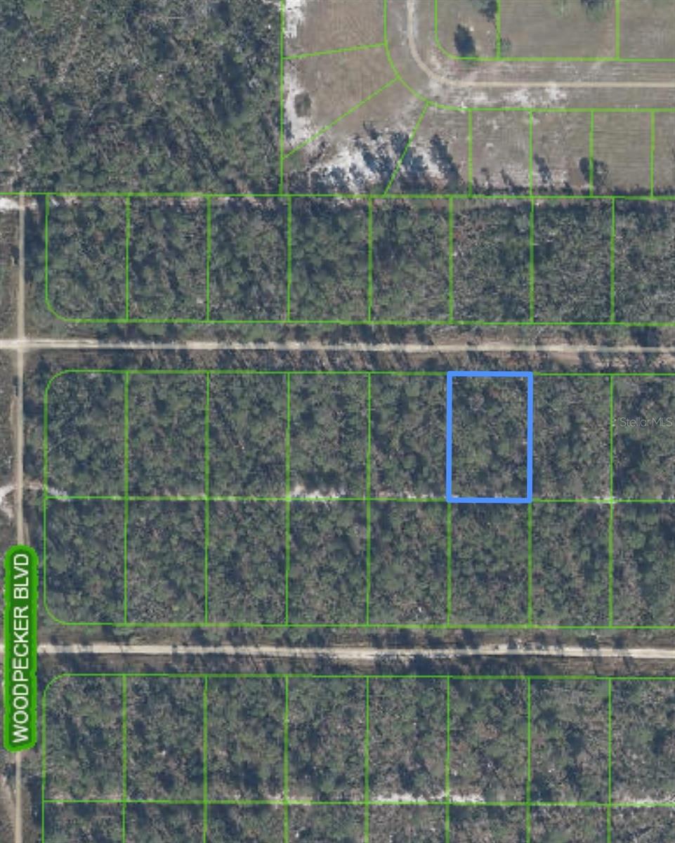 455 NIGHTINGALE AVE, SEBRING, FL — photo 3