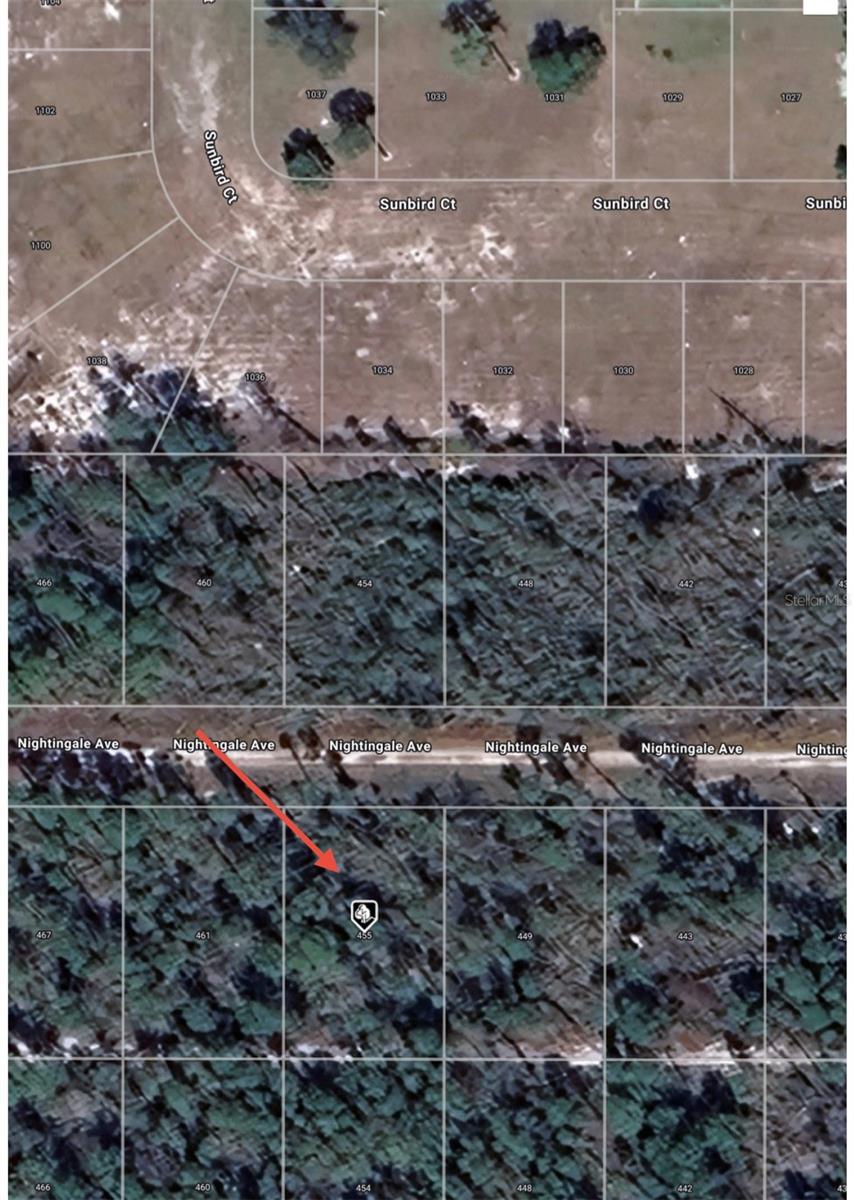 455 NIGHTINGALE AVE, SEBRING, FL — photo 8