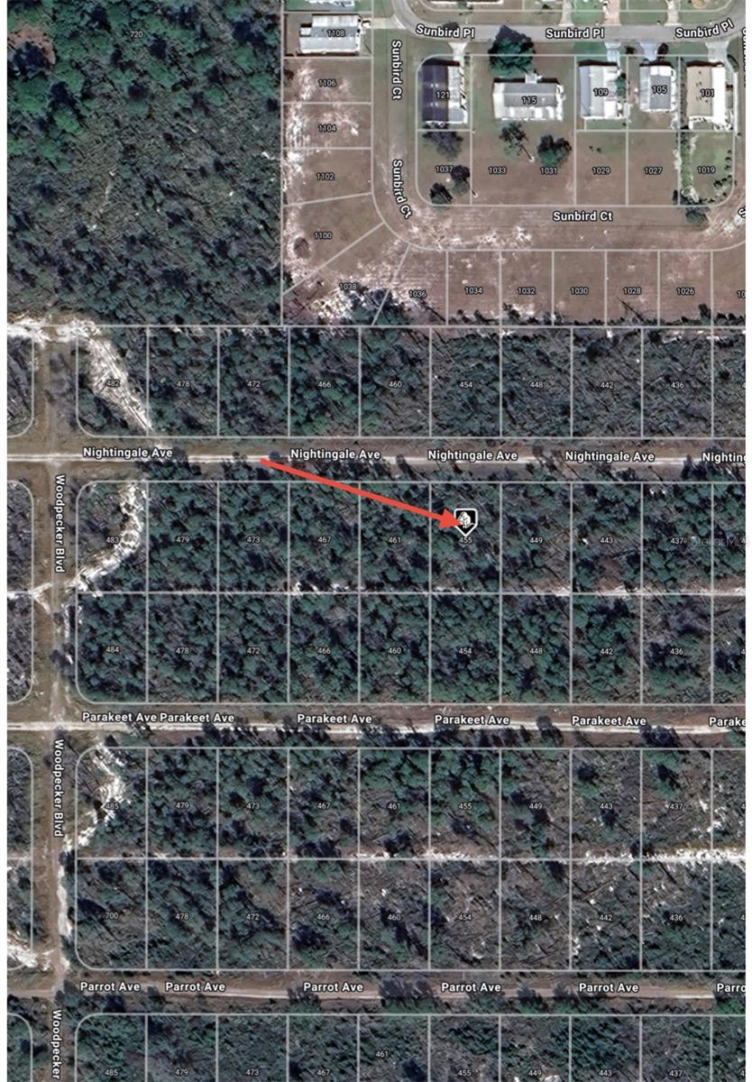 455 NIGHTINGALE AVE, SEBRING, FL — photo 9