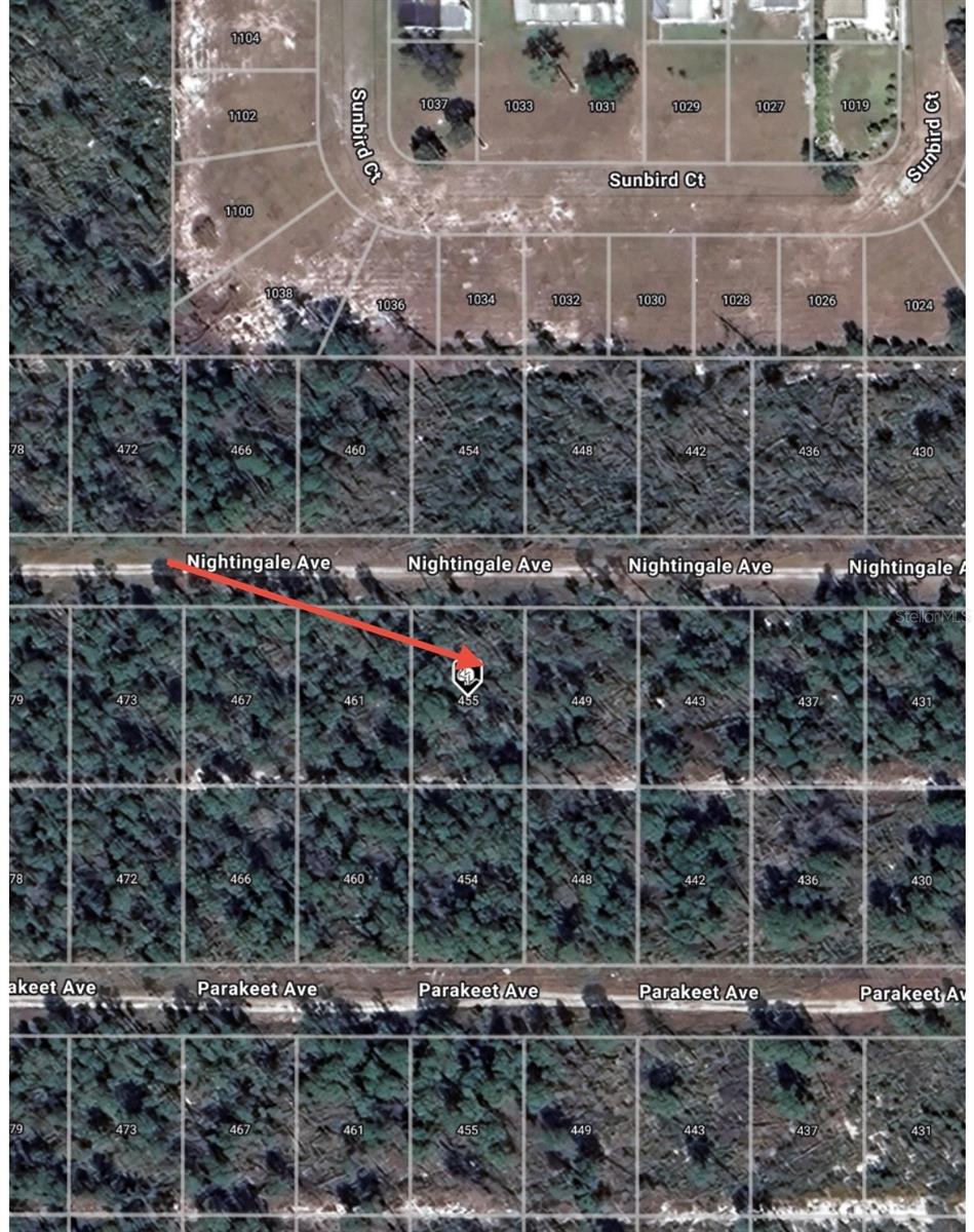 455 NIGHTINGALE AVE, SEBRING, FL — photo 10