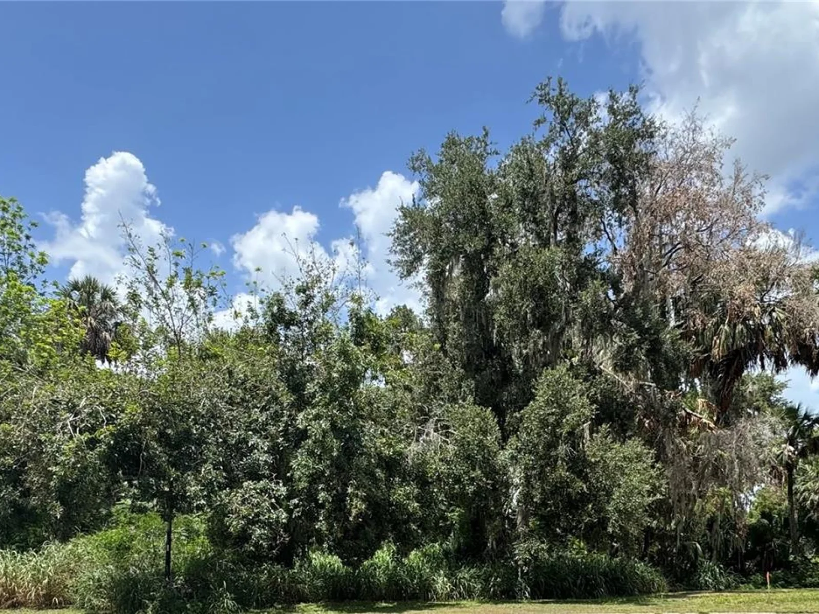 Lot K-14 BLUE HERON CIRCLE CIR, DEER ISLAND, FL — photo 2