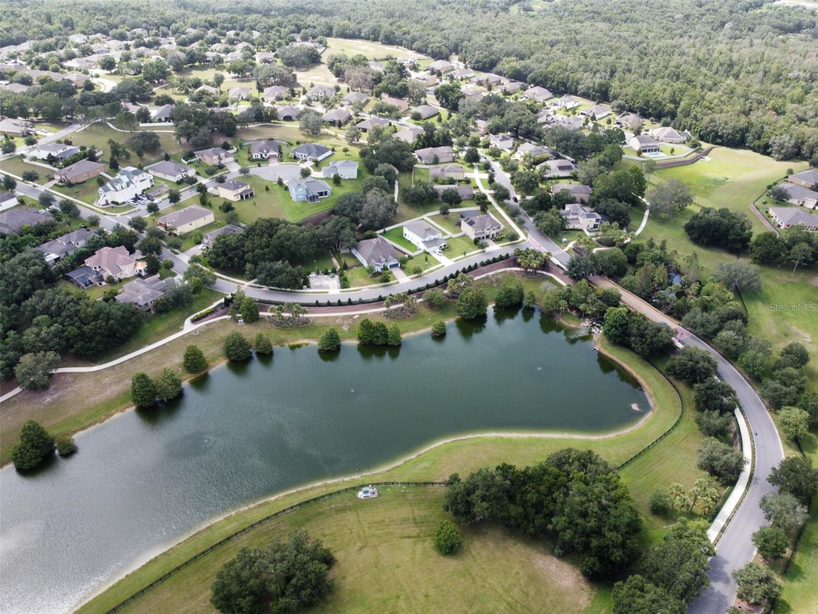 22011 BELGIAN CT, MOUNT DORA, FL — photo 5