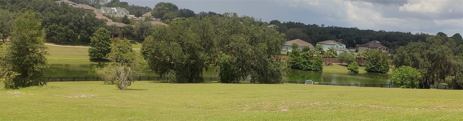 22011 BELGIAN CT, MOUNT DORA, FL — photo 19