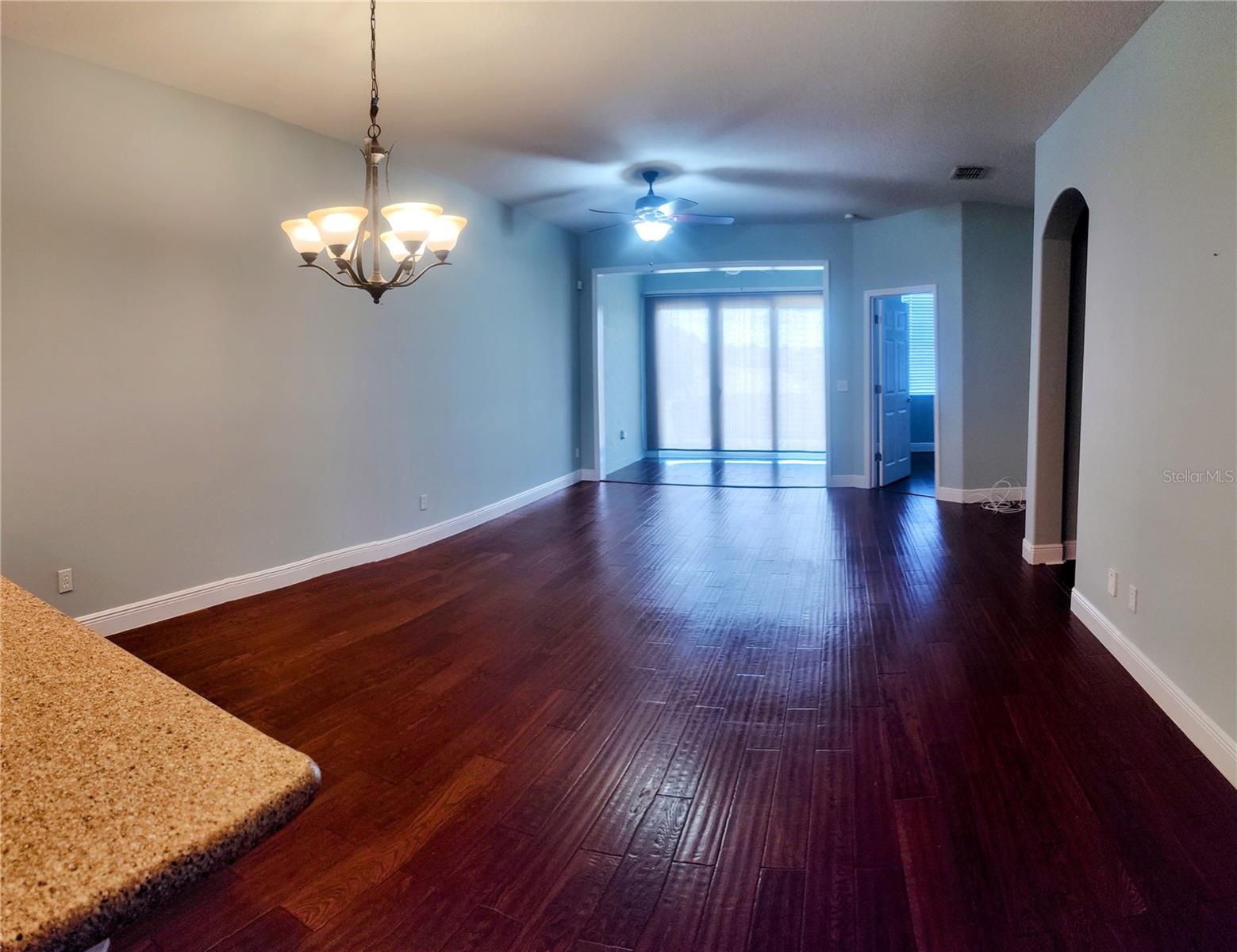 22011 BELGIAN CT, MOUNT DORA, FL — photo 22
