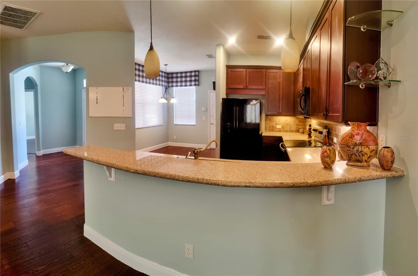 22011 BELGIAN CT, MOUNT DORA, FL — photo 51