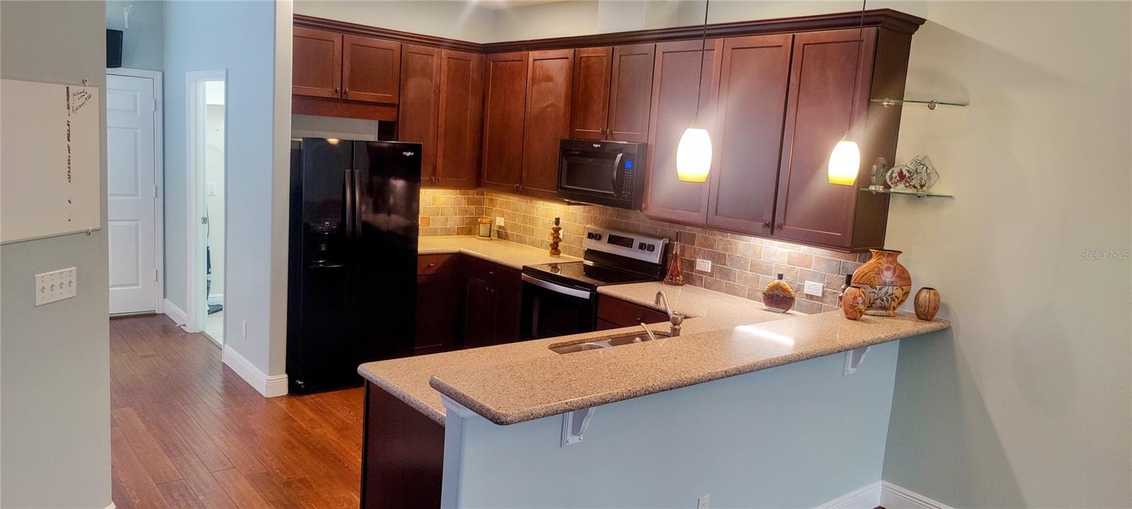 22011 BELGIAN CT, MOUNT DORA, FL — photo 64