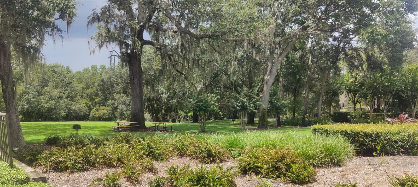 22011 BELGIAN CT, MOUNT DORA, FL — photo 65