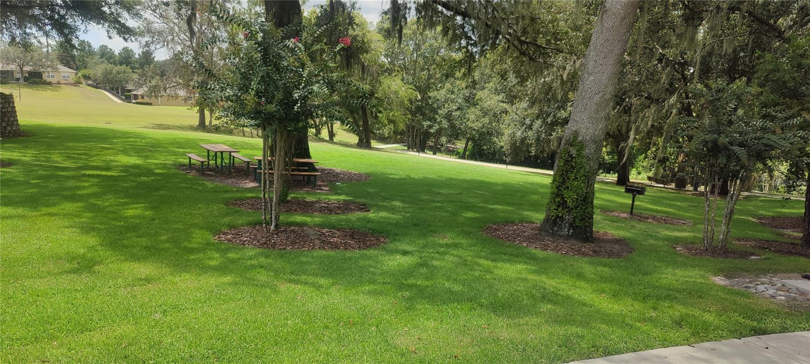 22011 BELGIAN CT, MOUNT DORA, FL — photo 68