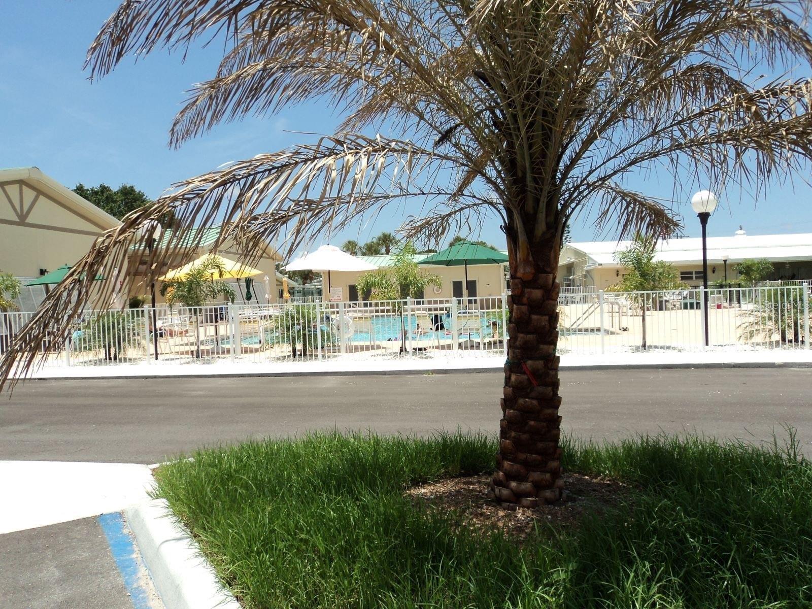 816 TURF, VENICE, FL — photo 17