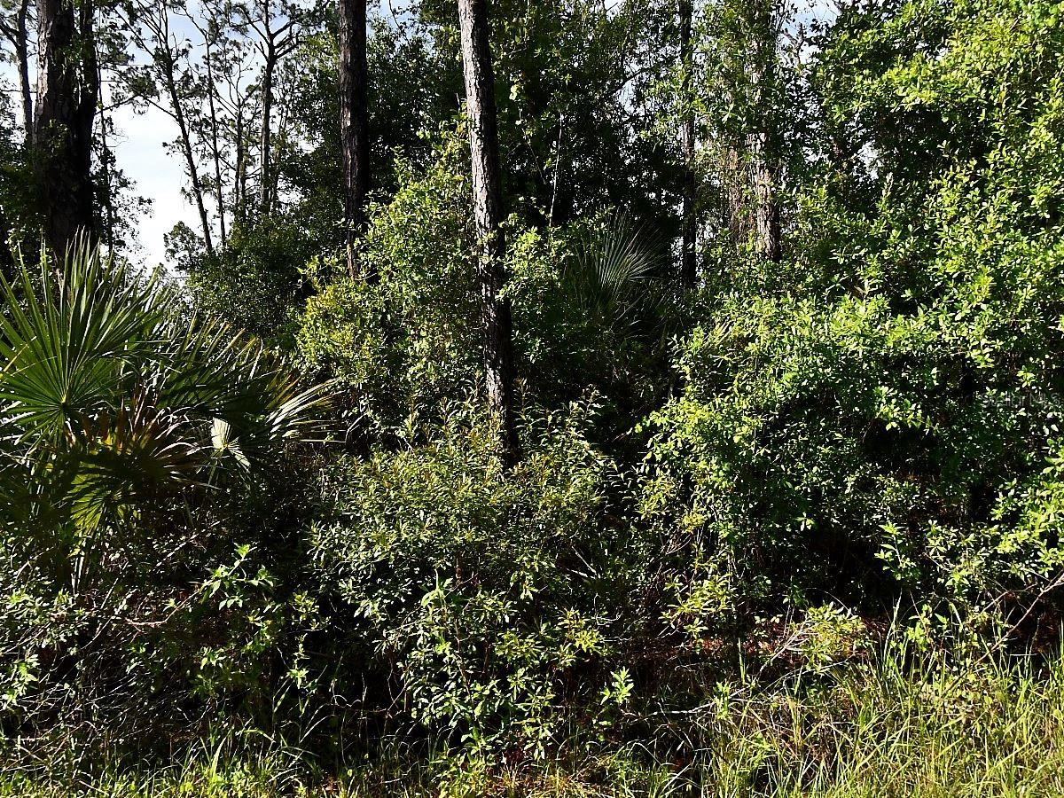 BOYD AVE, NORTH PORT, FL — photo 2