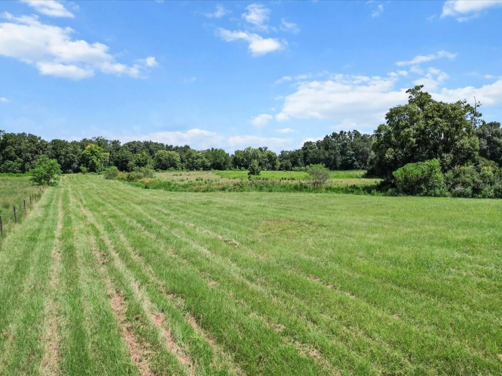 6177 CR 625, BUSHNELL, FL — photo 11