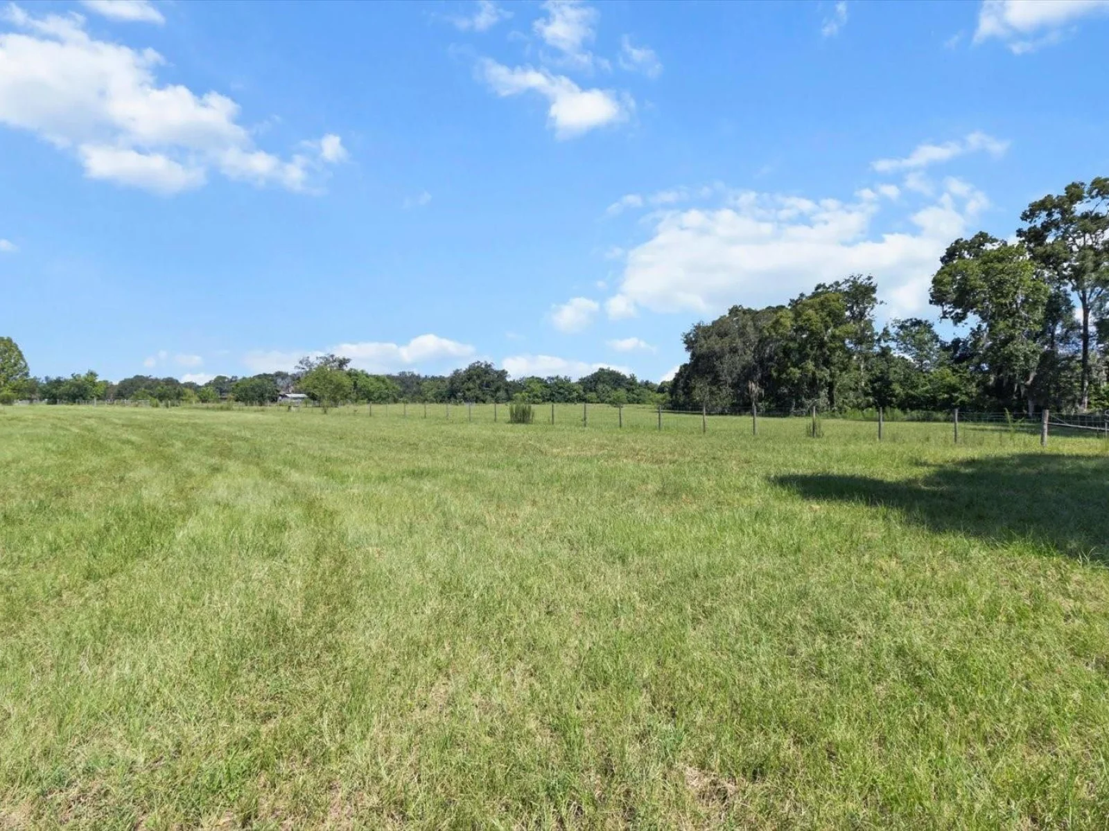 6177 CR 625, BUSHNELL, FL — photo 12