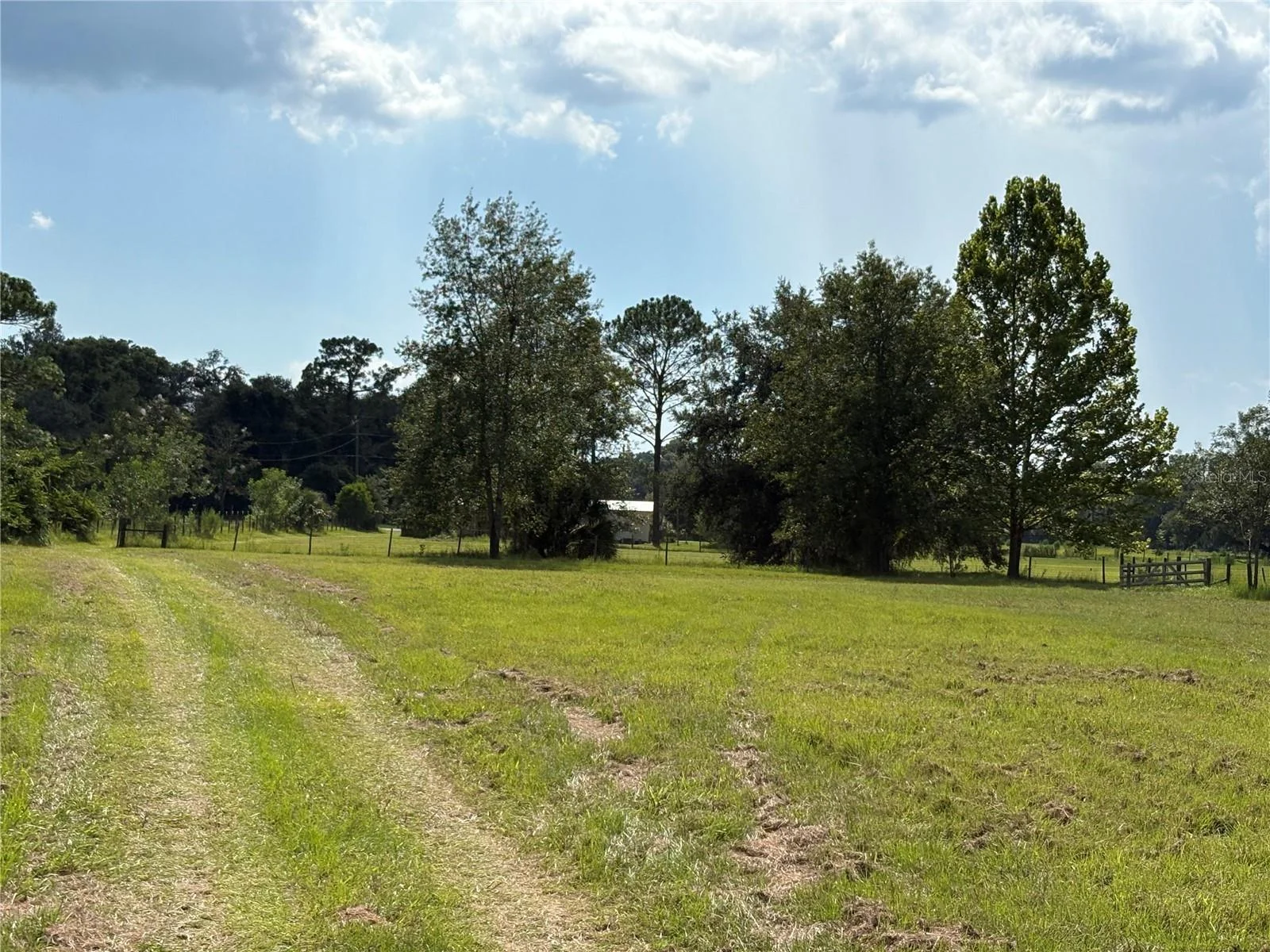 6177 CR 625, BUSHNELL, FL — photo 30