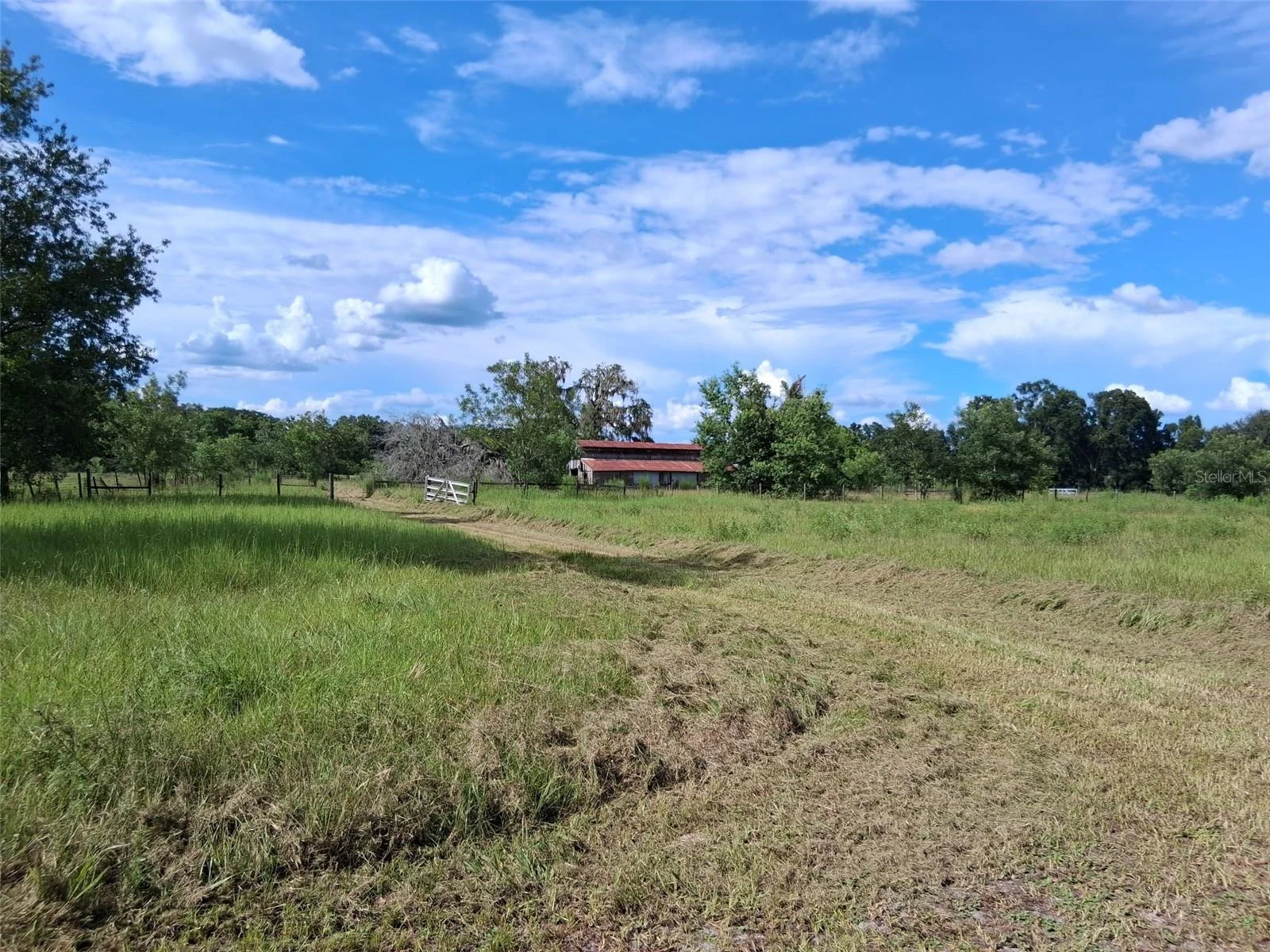 6177 CR 625, BUSHNELL, FL — photo 34