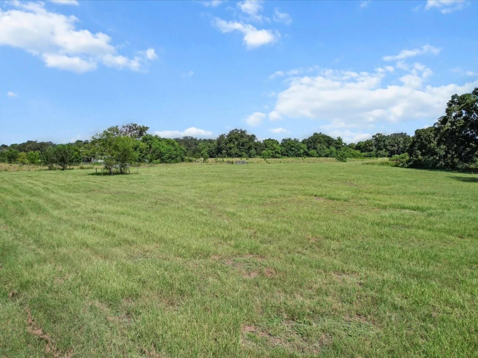 6177 CR 625, BUSHNELL, FL — photo 52