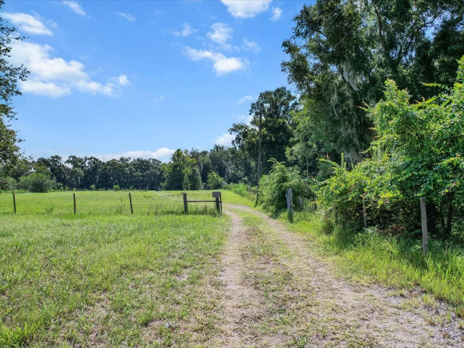6177 CR 625, BUSHNELL, FL — photo 55
