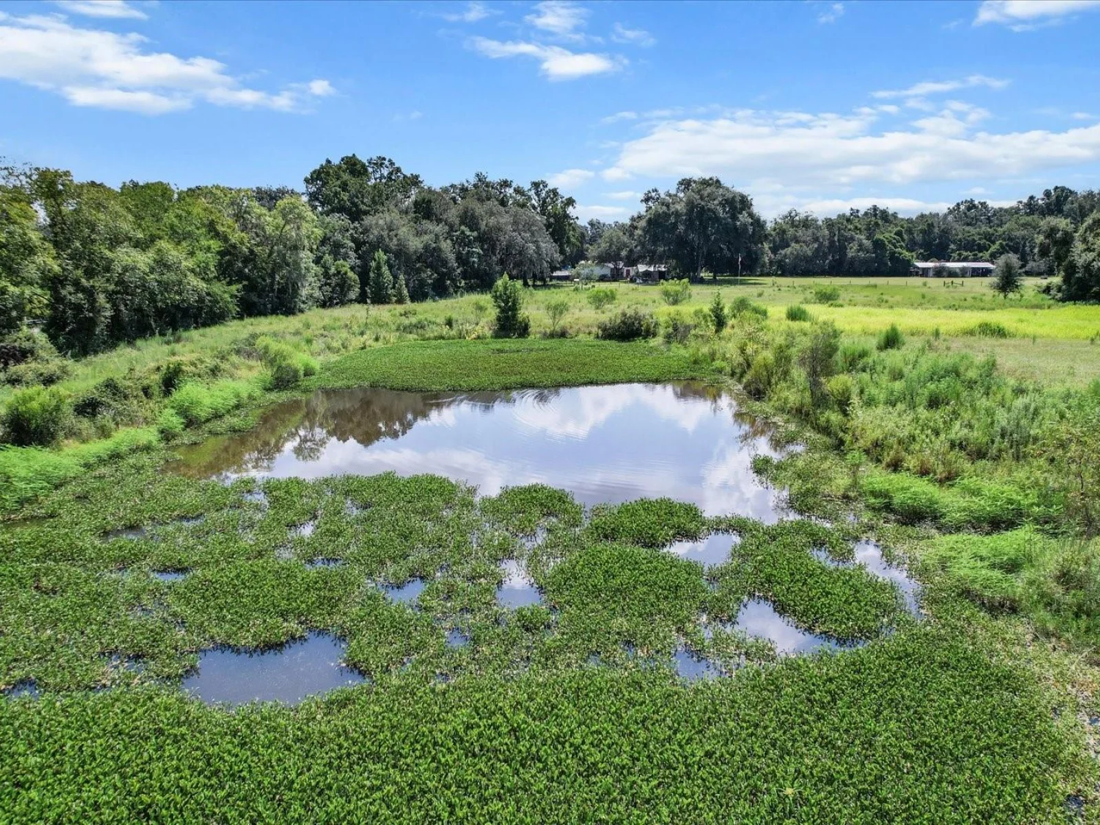 6177 CR 625, BUSHNELL, FL — photo 75
