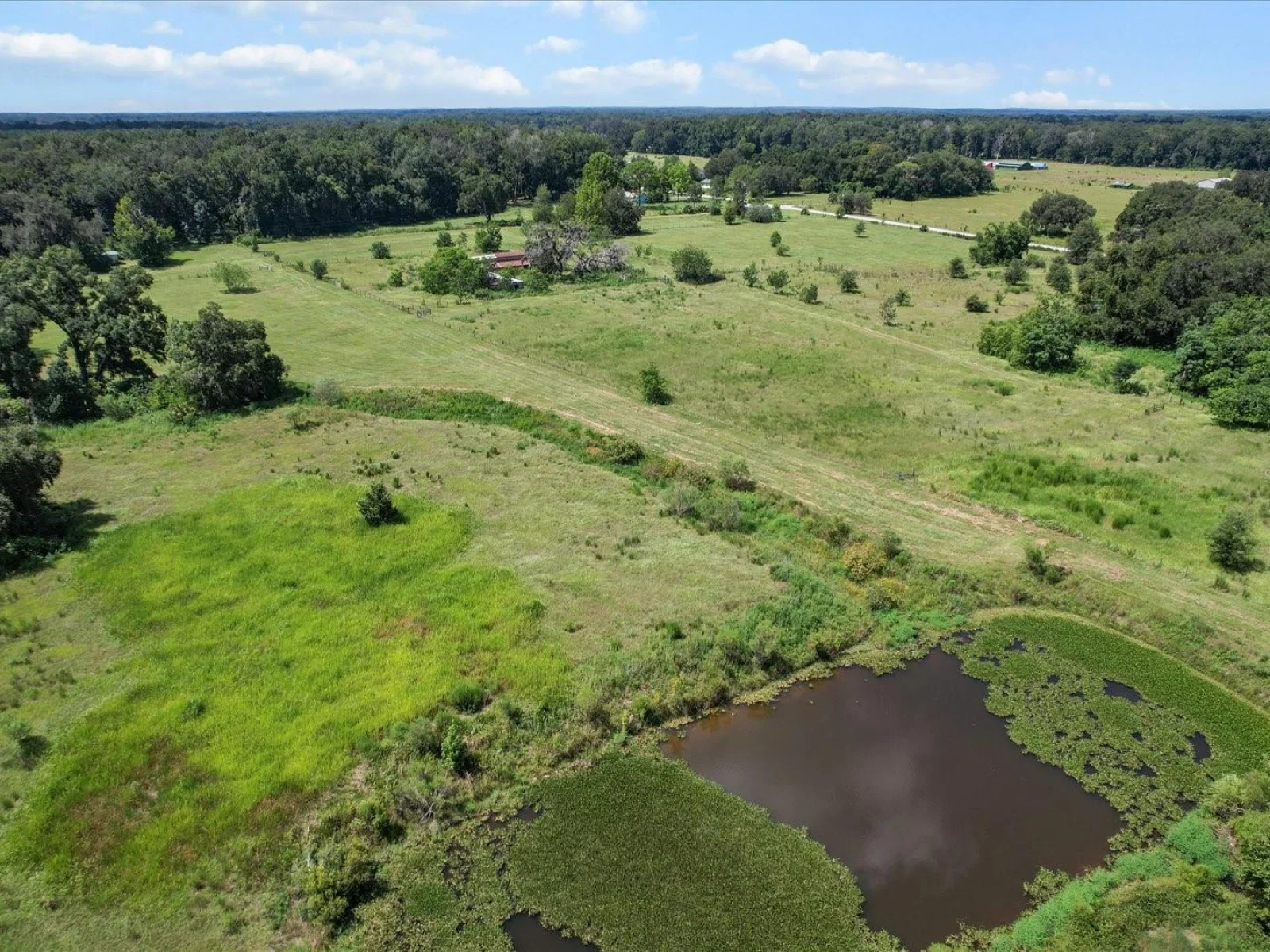 6177 CR 625, BUSHNELL, FL — photo 76