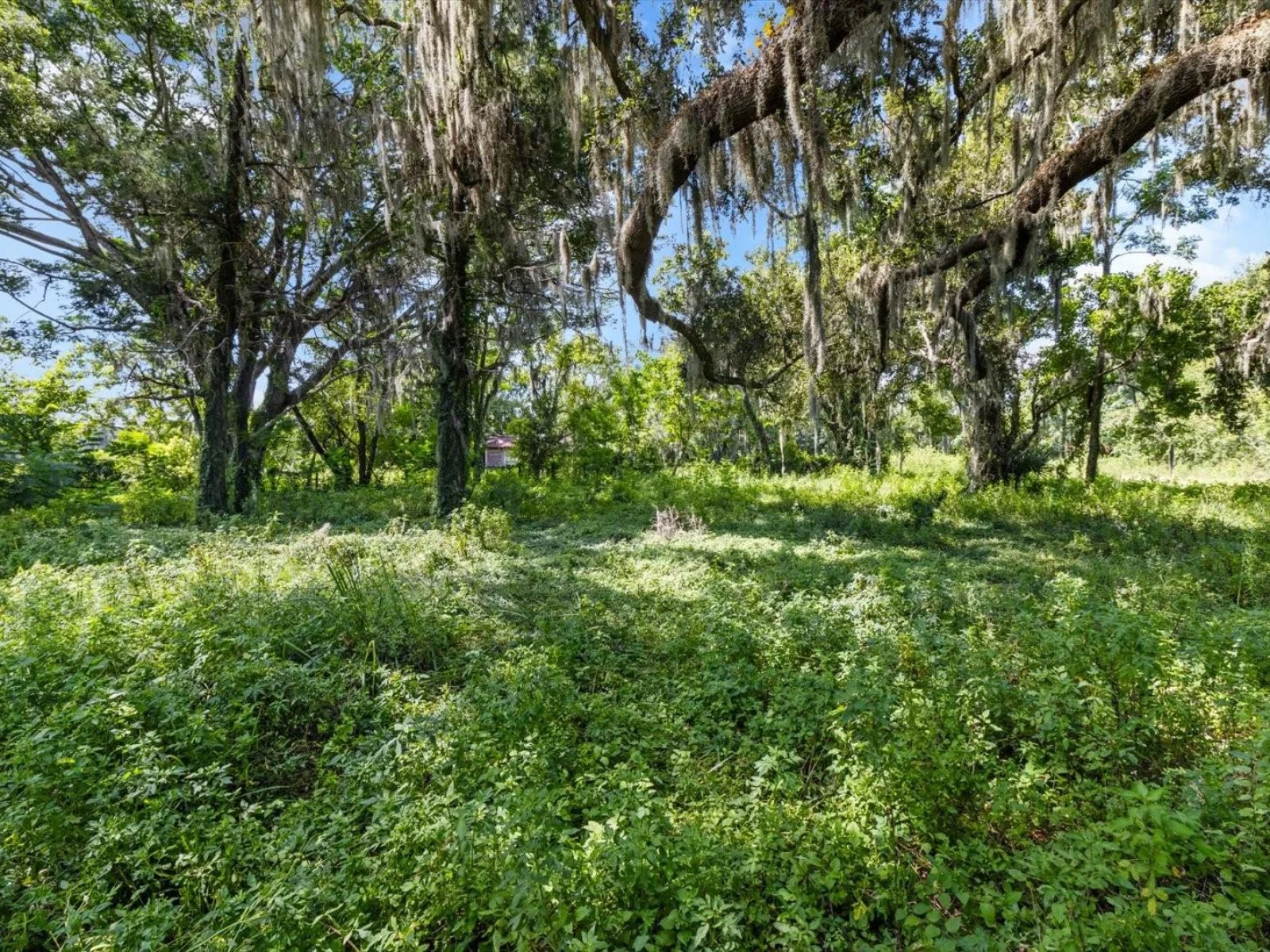 6177 CR 625, BUSHNELL, FL — photo 80