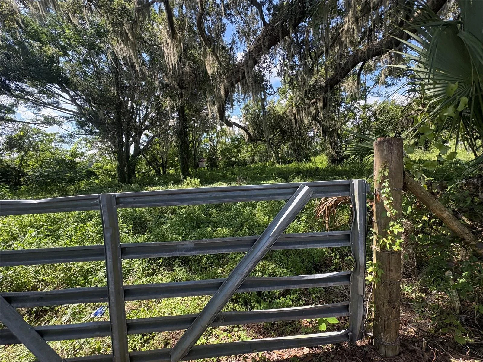 6177 CR 625, BUSHNELL, FL — photo 83