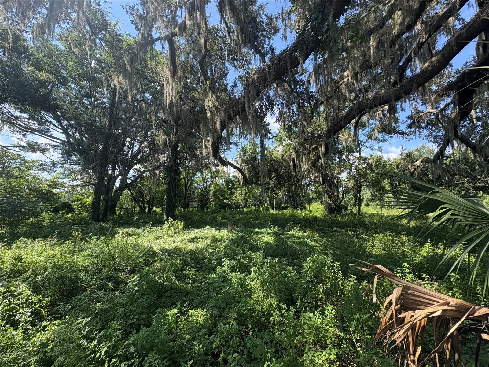 6177 CR 625, BUSHNELL, FL — photo 84
