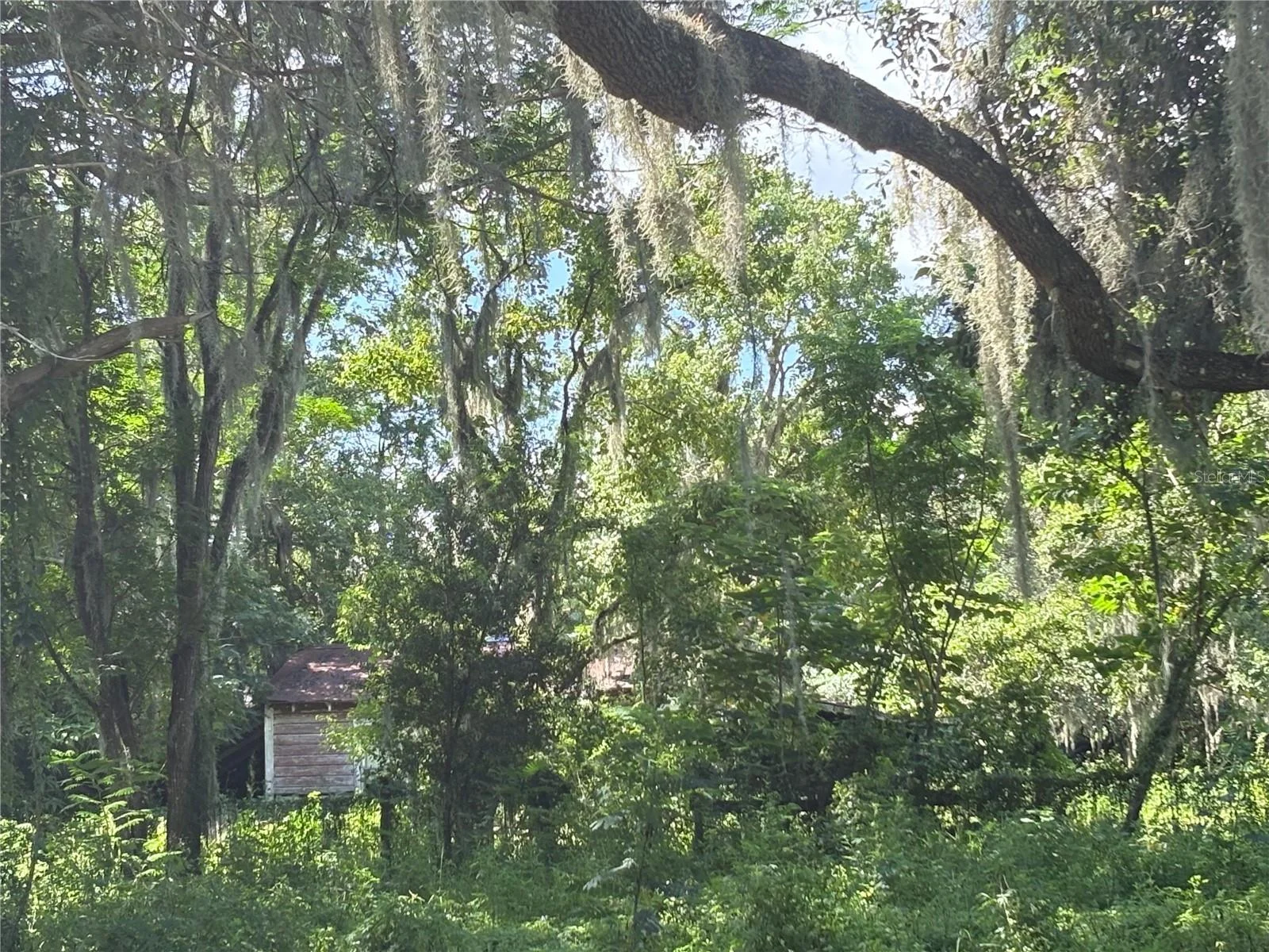 6177 CR 625, BUSHNELL, FL — photo 85