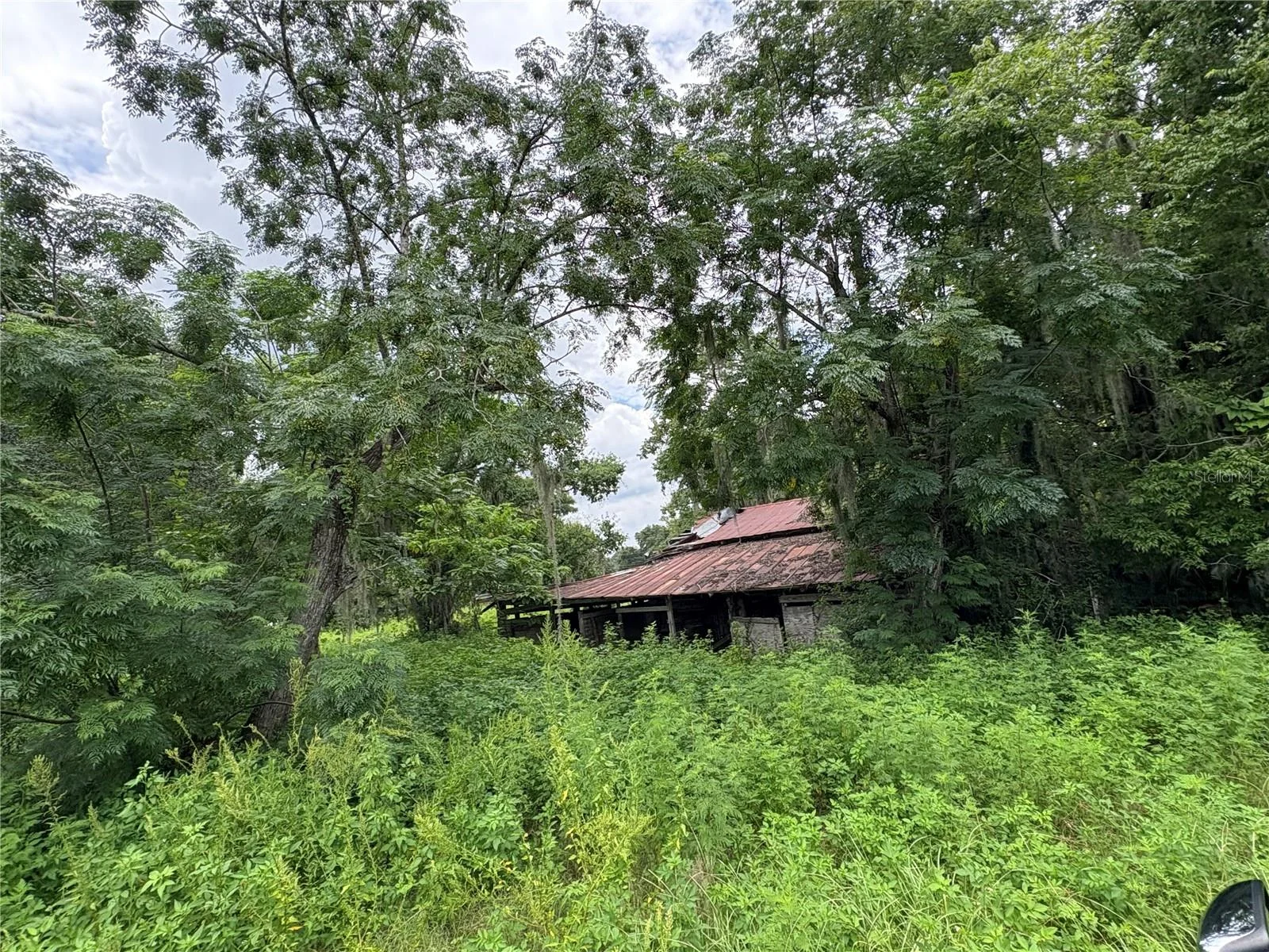 6177 CR 625, BUSHNELL, FL — photo 87