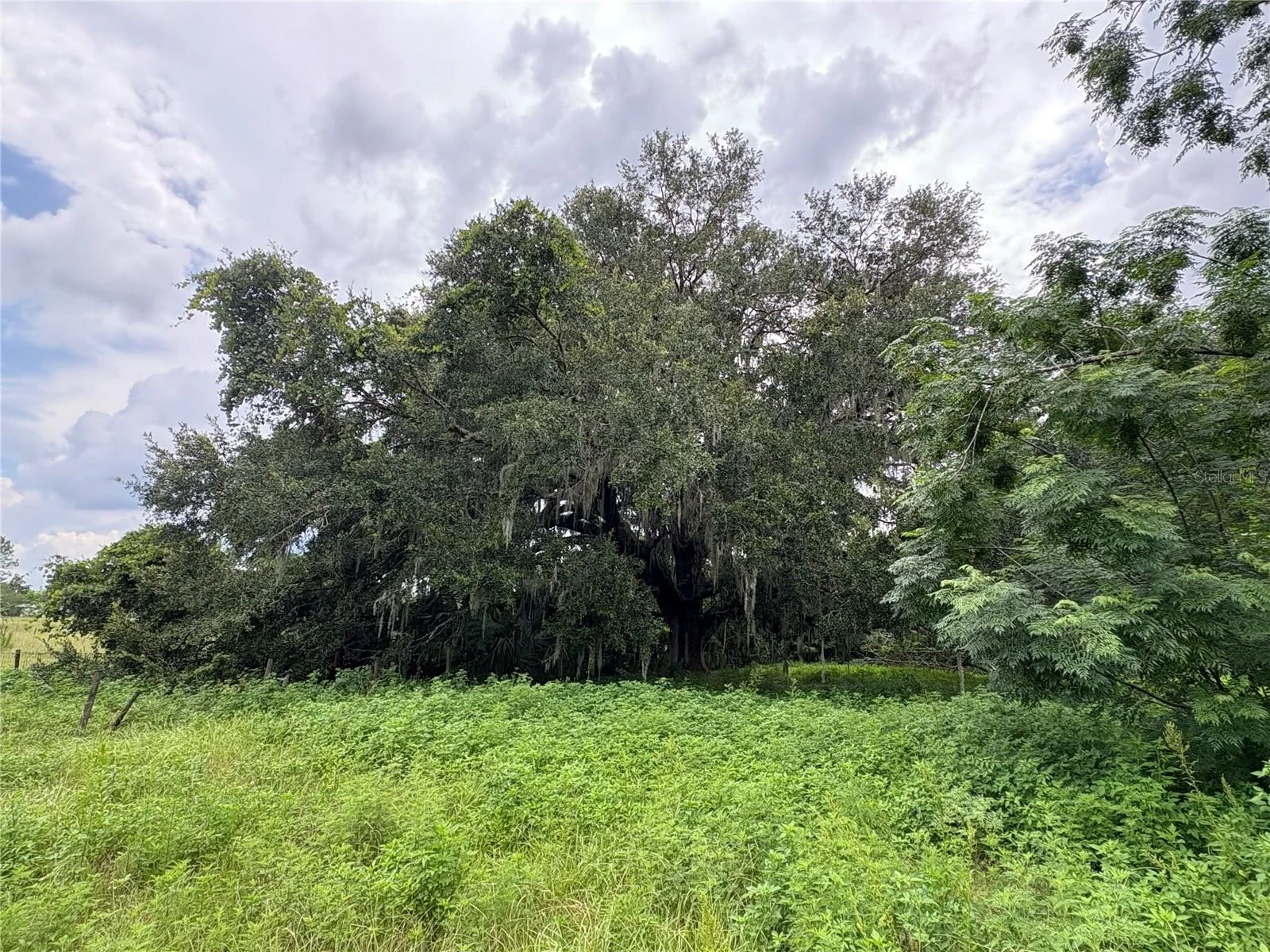 6177 CR 625, BUSHNELL, FL — photo 78
