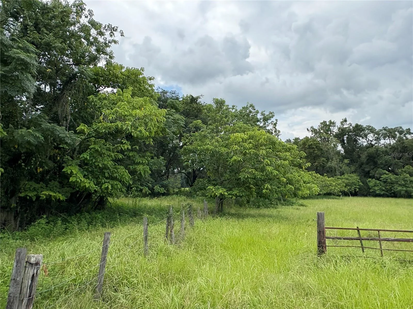 6177 CR 625, BUSHNELL, FL — photo 79
