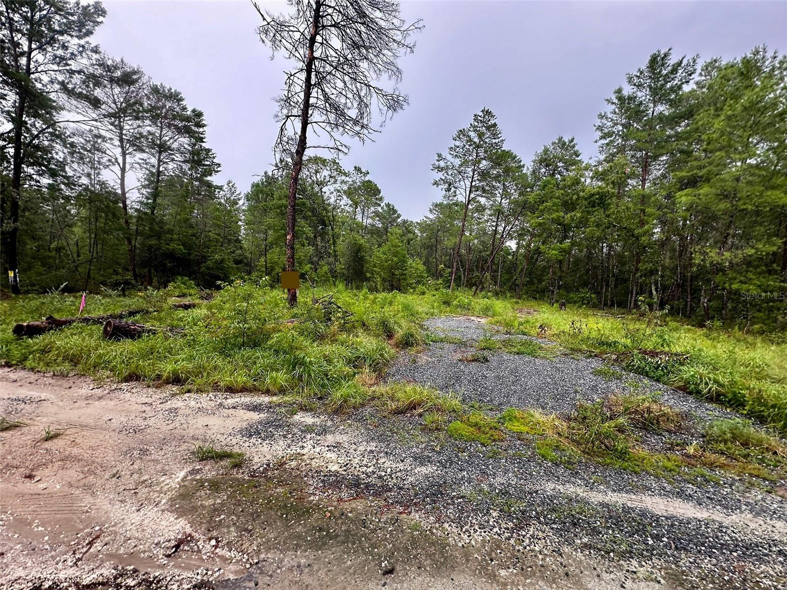 NE 112TH CT, FORT MC COY, FL