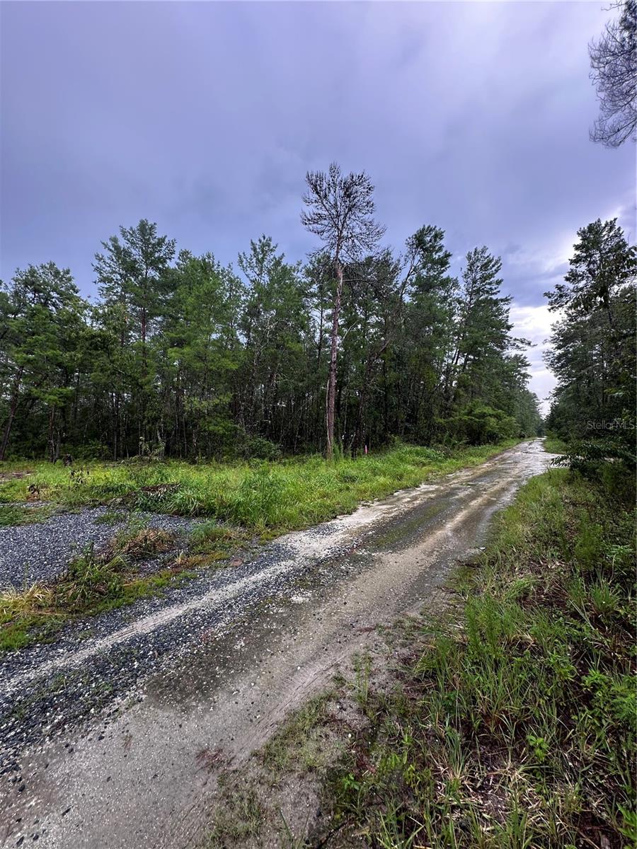 NE 112TH CT, FORT MC COY, FL — photo 2
