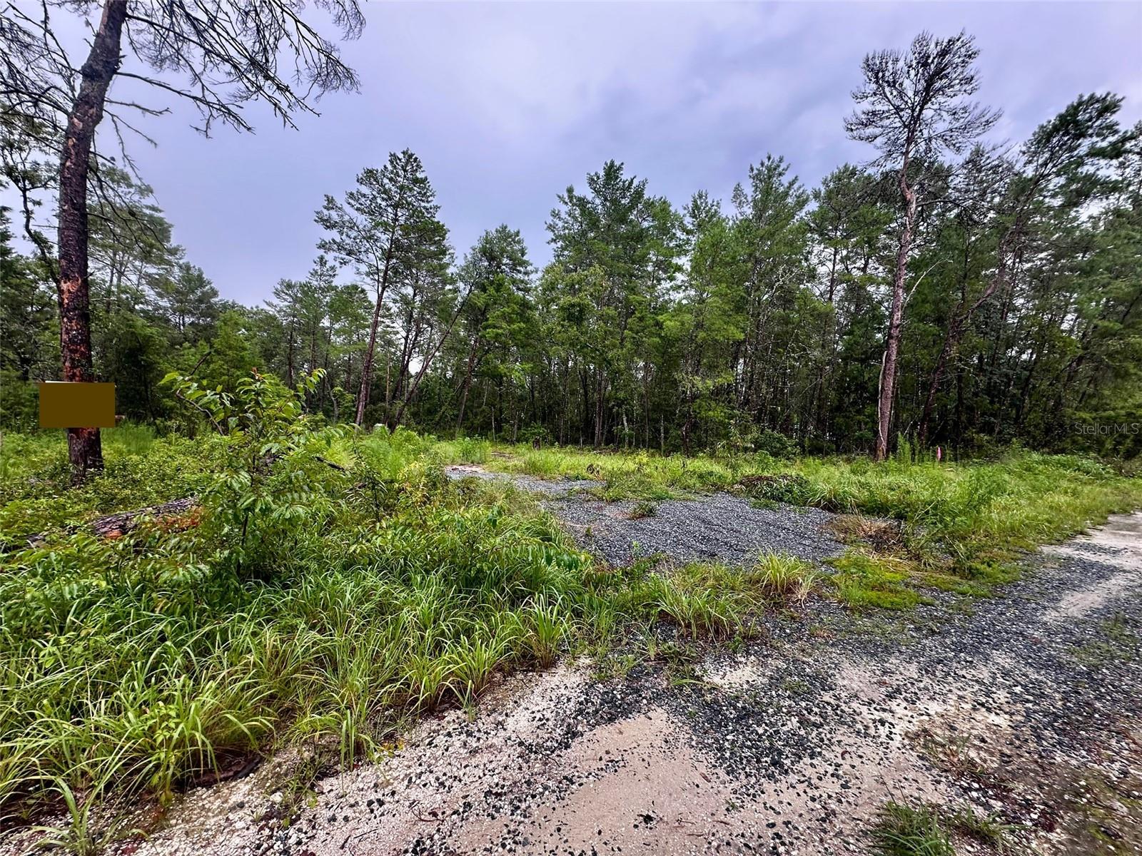 NE 112TH CT, FORT MC COY, FL — photo 4