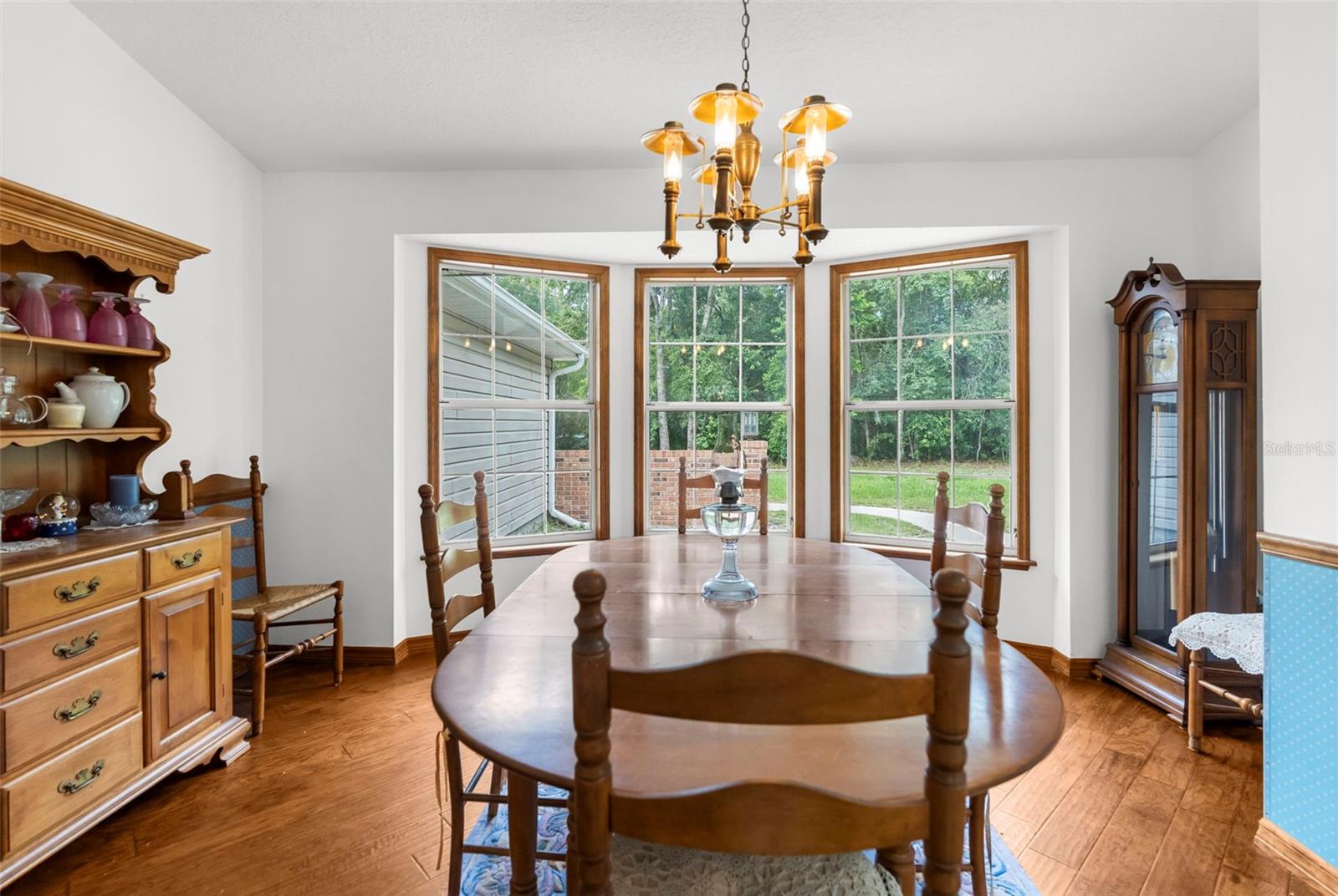 17131 DALBERG DR, SPRING HILL, FL — photo 20