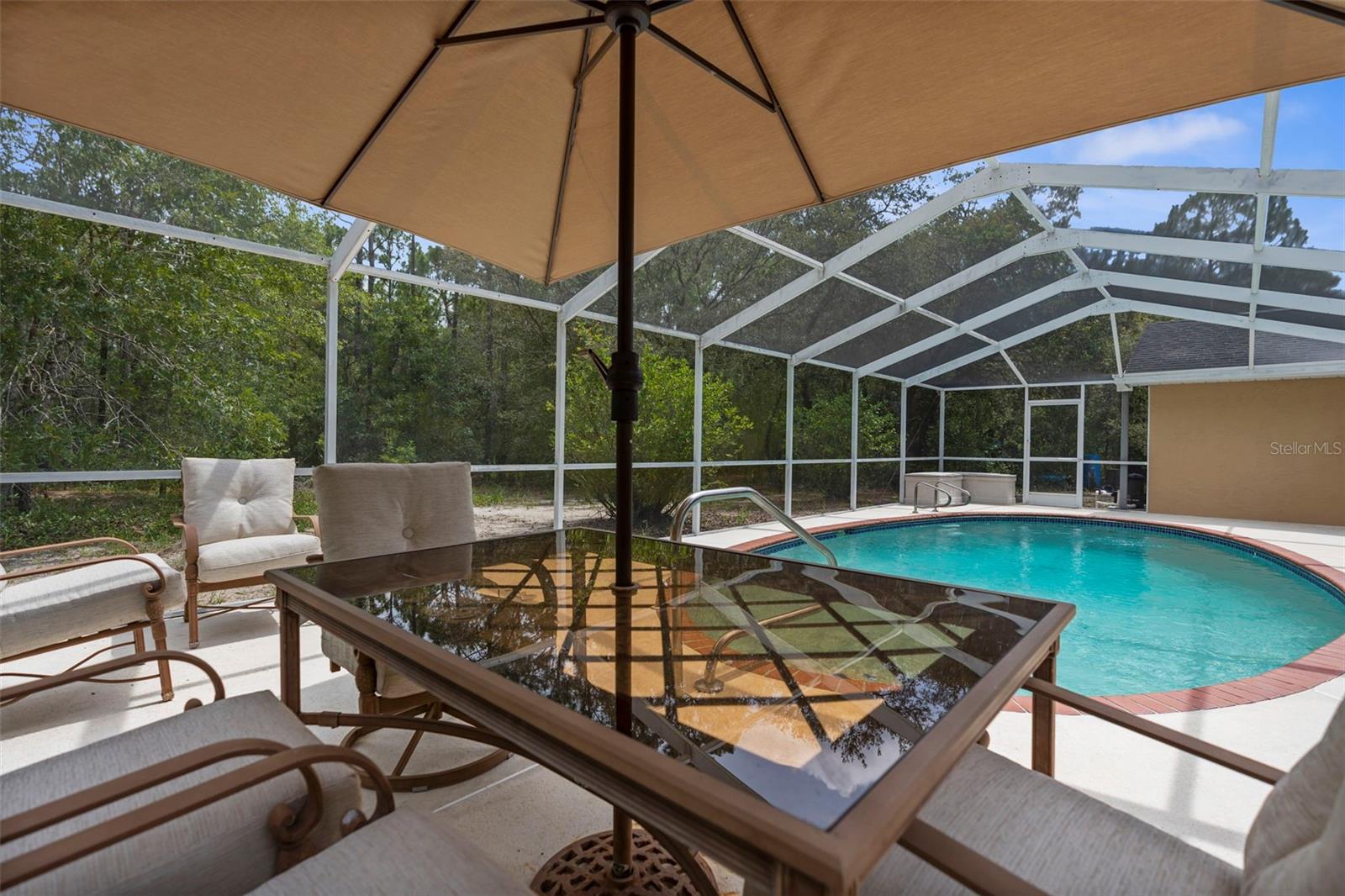 17131 DALBERG DR, SPRING HILL, FL — photo 33