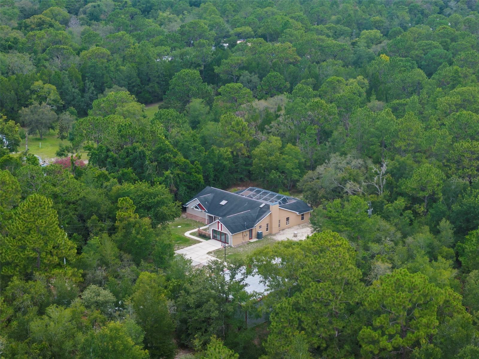 17131 DALBERG DR, SPRING HILL, FL — photo 80