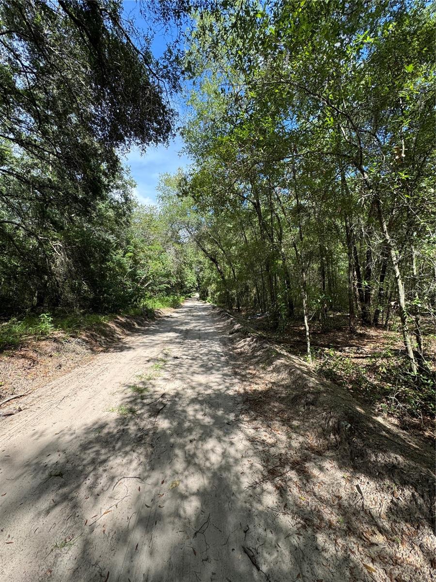0 NW 14 ST, OCALA, FL — photo 3